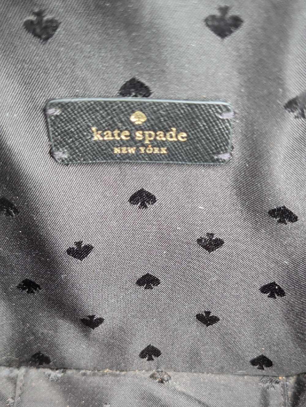 Kate Spade New York "Meow" Cat Daisy Colorblock Vanity Crossbody EUC 🐈⬛🐈⬛ - Picture 6 of 7
